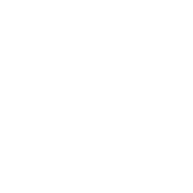 BRN GYM BORN TO WIN